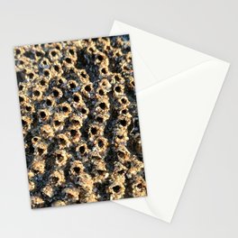 Barnacle City Stationery Cards