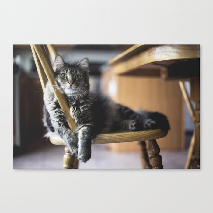 Cute Cat, British Longhair Cat digital painting Canvas Print