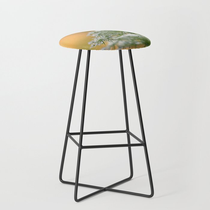 Queen Anne's Lace flower in golden light Bar Stool