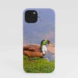Duck Going for a Swim iPhone Case