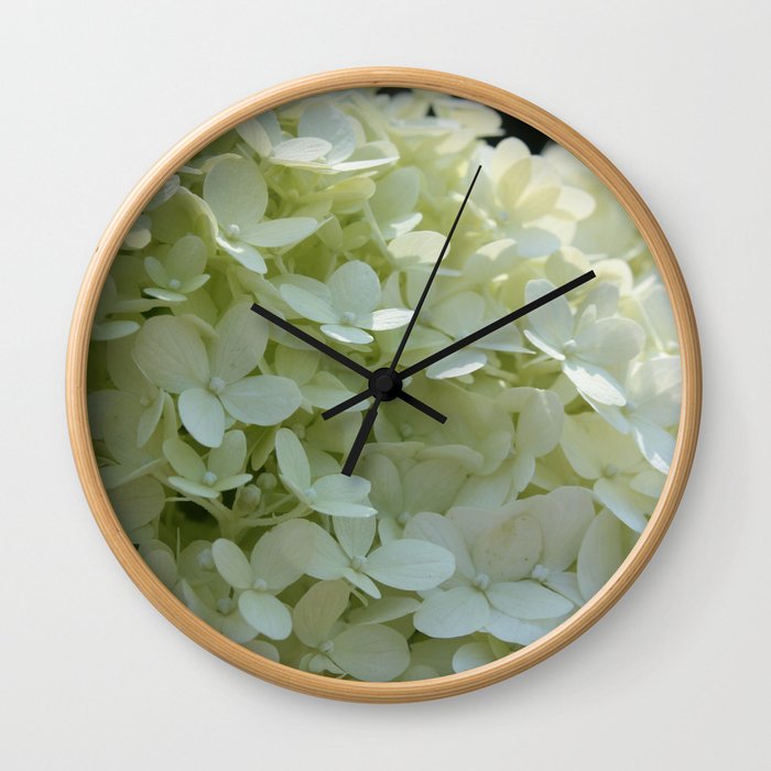 White Hydrangea  Wall Clock