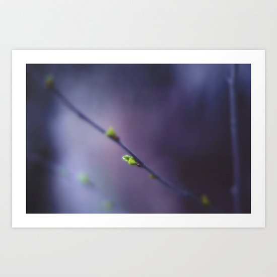 Into The Unknown Art Print