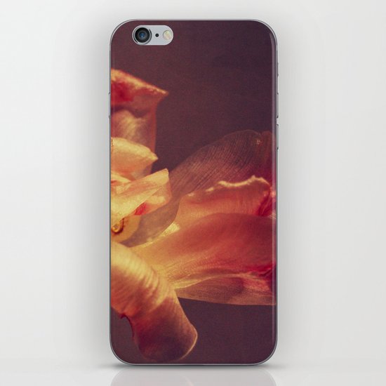 luce iPhone Skin