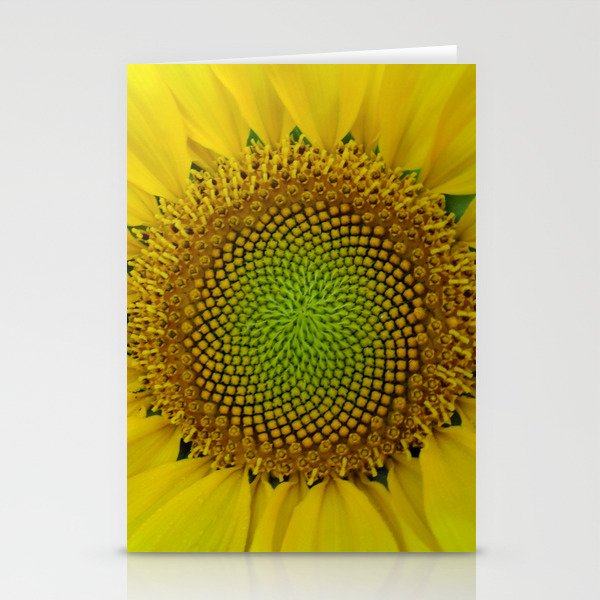 Sunflower Flower and Seeds, Fibonacci, Spiral, Golden Ratio Stationery Cards