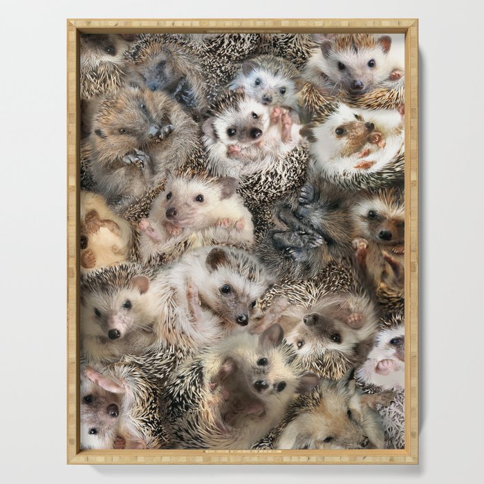 Hedgehogs Serving Tray