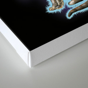 Aliens Gave My Cat A Beard Black Canvas Print By Stevenrhodes