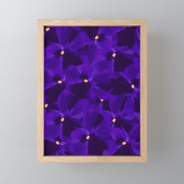 purple pansies Framed Mini Art Print