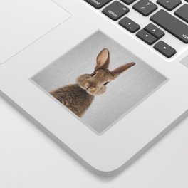 Rabbit - Colorful Sticker