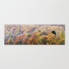 Autumn Trees Panorama Canvas Print