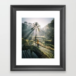 Rice Terrance Sunrise Framed Art Print