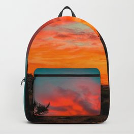Joshua Tree Parc National Backpack