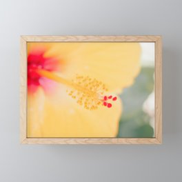 Sunshine Hibiscus Framed Mini Art Print