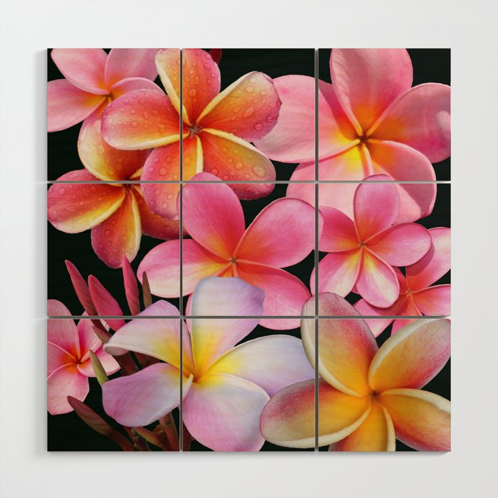 Pink Plumerias Wood Wall Art