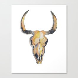 Cow Skull Canvas Print