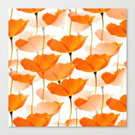 Orange Poppies On A White Background #decor #society6 #buyart Canvas Print | Beautiful, Spring, Petal, Outdoor, Nature, Beauty, Digital Manipulation, Meadow, Summer, Wild 