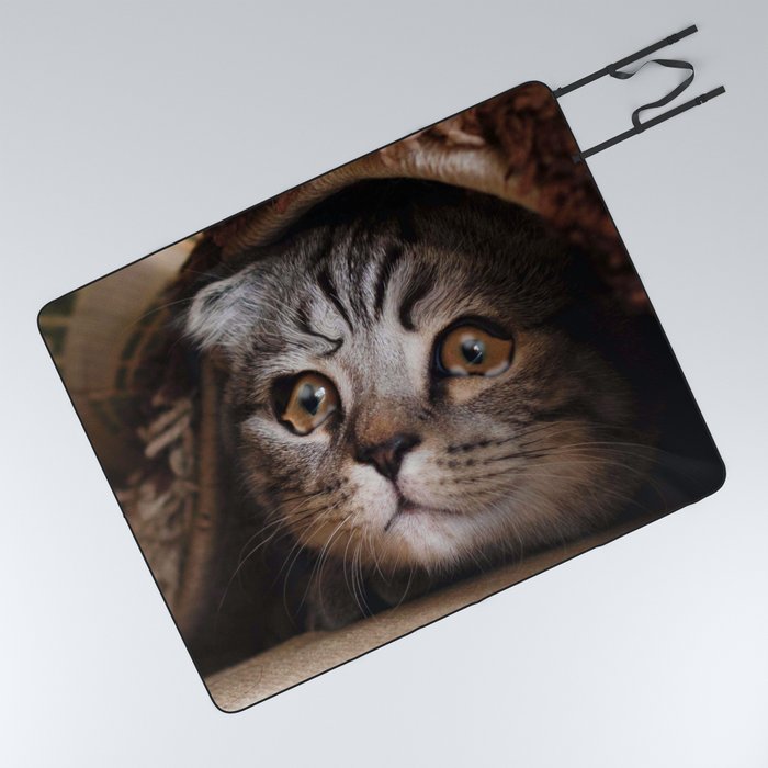 Sad Cat Crying Cat Cute Meme Picnic Blanket By Randomgalaxy Society6