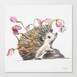 Watercolour Hedgehog Collection Canvas Print