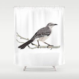 Northern mockingbird - Cenzontle - Mimus polyglottos Shower Curtain