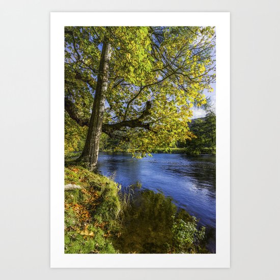 Autumn By The River Art Print