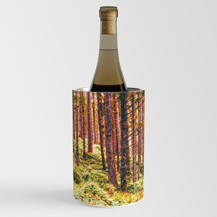Pnw Forest | Nature Photography in Oregon Wine Chiller