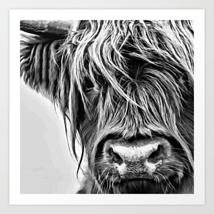 Black and White Highland Cow Art Print