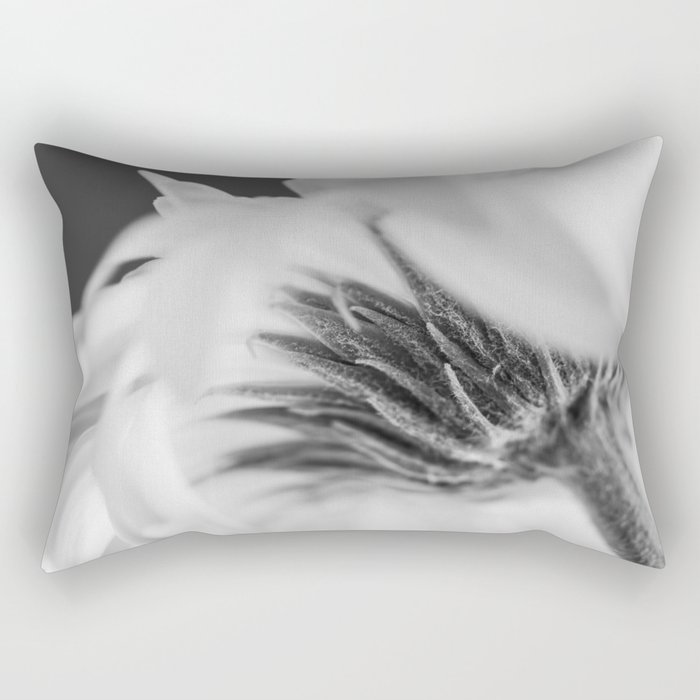 Flower Photography - White Daisy -  Black White Flower - Elegant Floral Print Rectangular Pillow