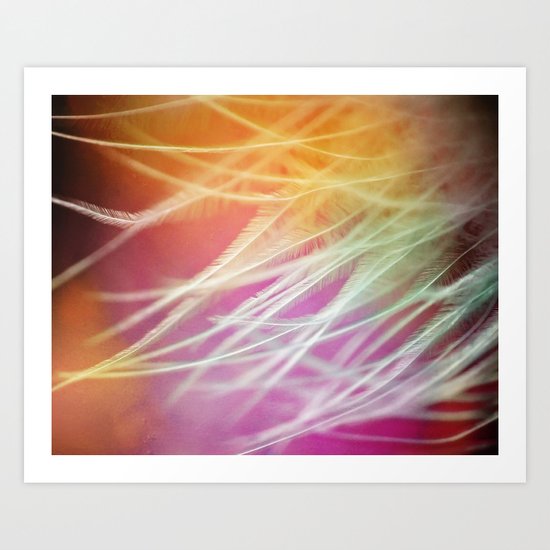 feather light Art Print