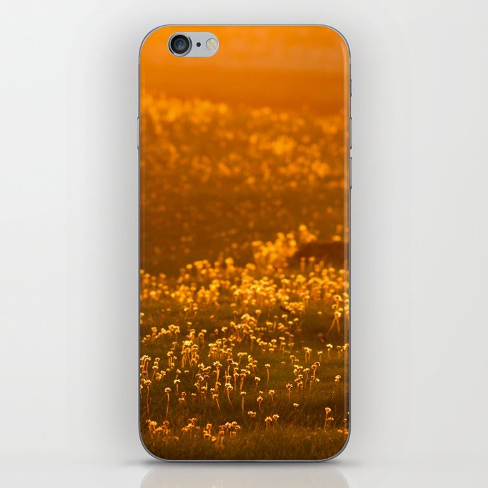 Fields of gold iPhone Skin
