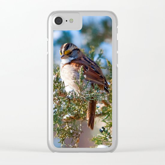 Sunlight Sparrow Clear iPhone Case