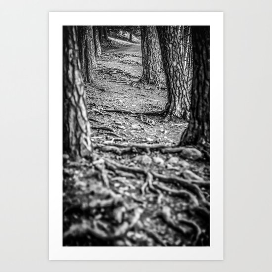 Rootway 2012 - black edition Art Print