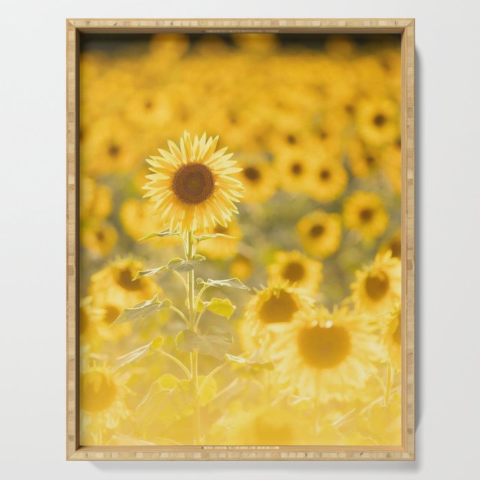 field of sunflowers3854714 Serving Tray