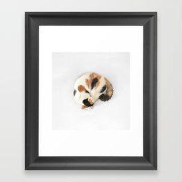 Sleeping Calico Cat Framed Art Print