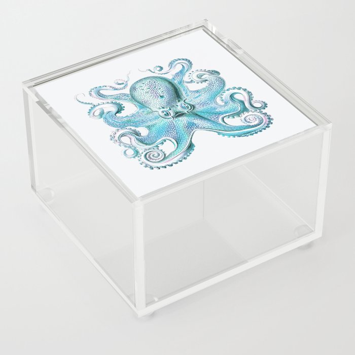 Vintage marine octopus - blue teal Acrylic Box