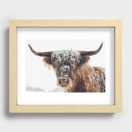 Snow Covered Highland Cow Recessed Framed Print