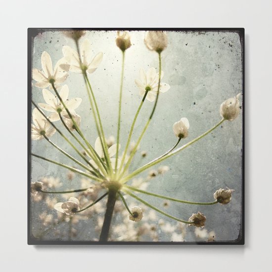 Botanical Explosion Metal Print