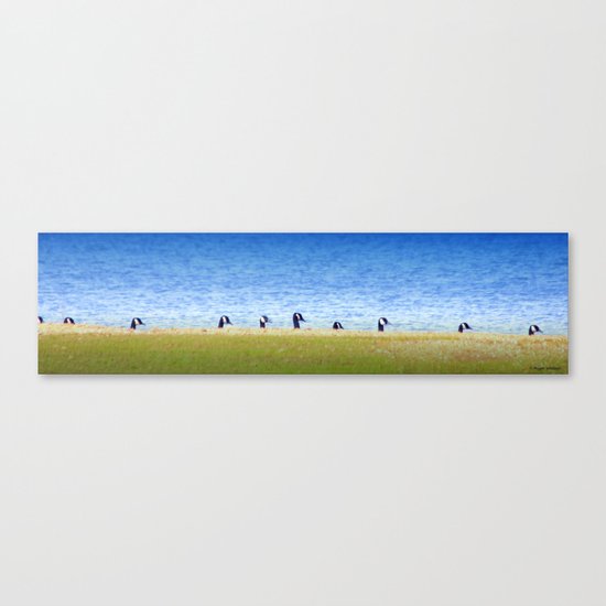 Goose Line Canvas Print