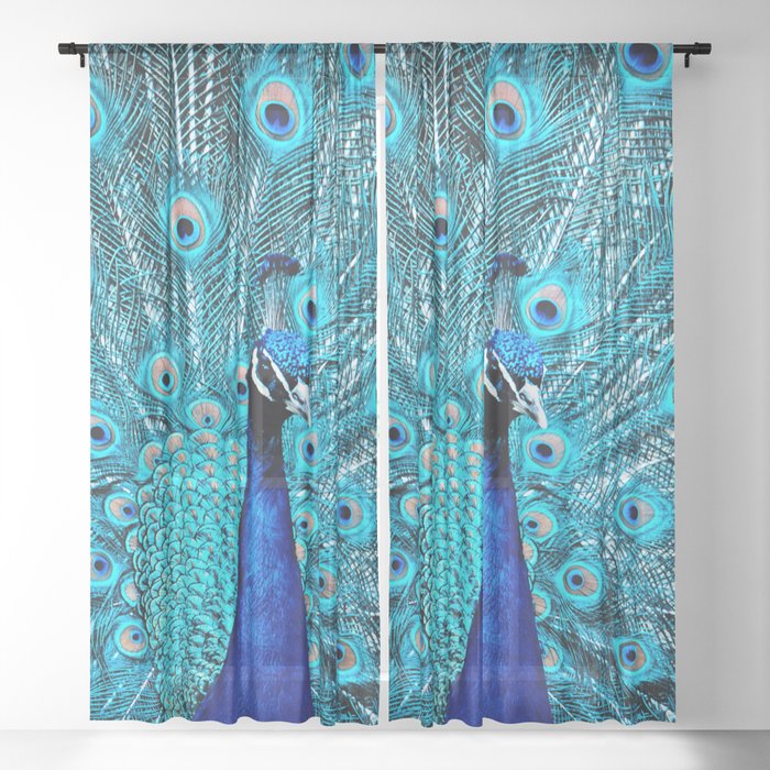 Sheer Curtain