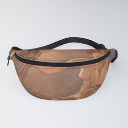 The Pact Fanny Pack