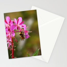 Bumblebee | Insect Photography Stationery Cards
