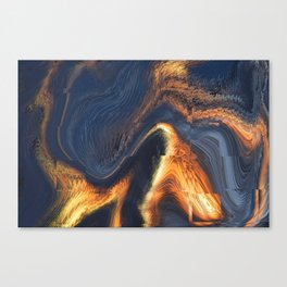 Project Distortion Canvas Print
