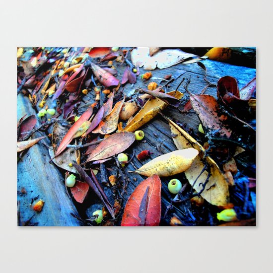 Leaves of a Strawberry Tree Canvas Print