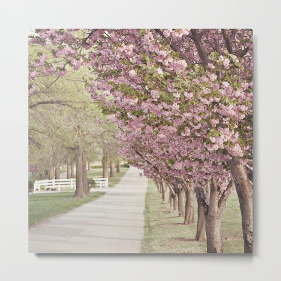 A Dreamy Journey Metal Print
