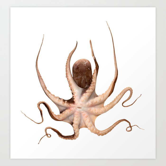Octopus Float Art Print