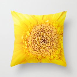 Gerbera Throw Pillows For Any Room Or Decor Style Society6