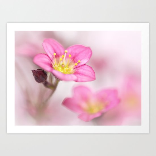 Still sweet as candy.... Art Print