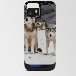 Landscape Photo Grey Wolf Gang Snowy iPhone Card Case
