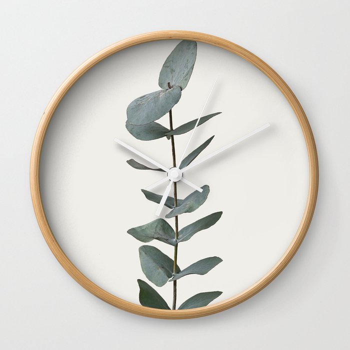 Simple Eucalyptus Wall Clock