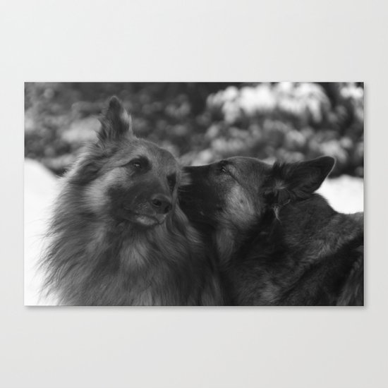 sweethearts Canvas Print