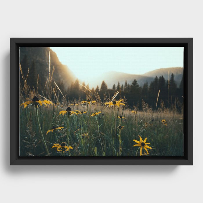 Daisy Meadow in Yosemite Framed Canvas
