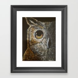 Hoot Owl Framed Art Print